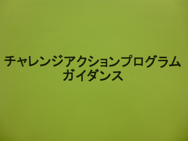 2013年1月22日：成果発表