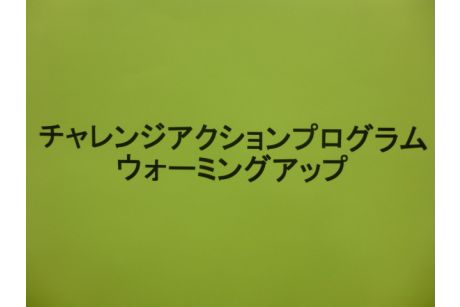 チャレンジアクションプログラム2012